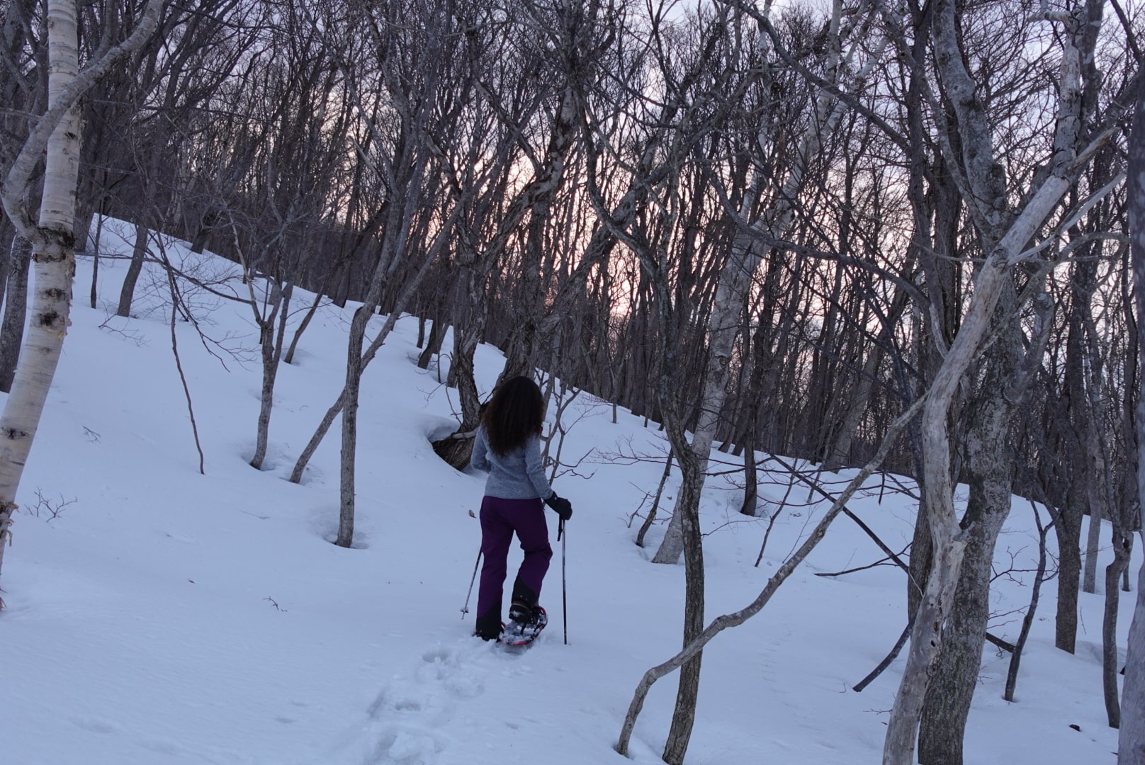 Snow Shoe